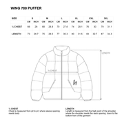 WING 700 PUFFER - GLACIAL